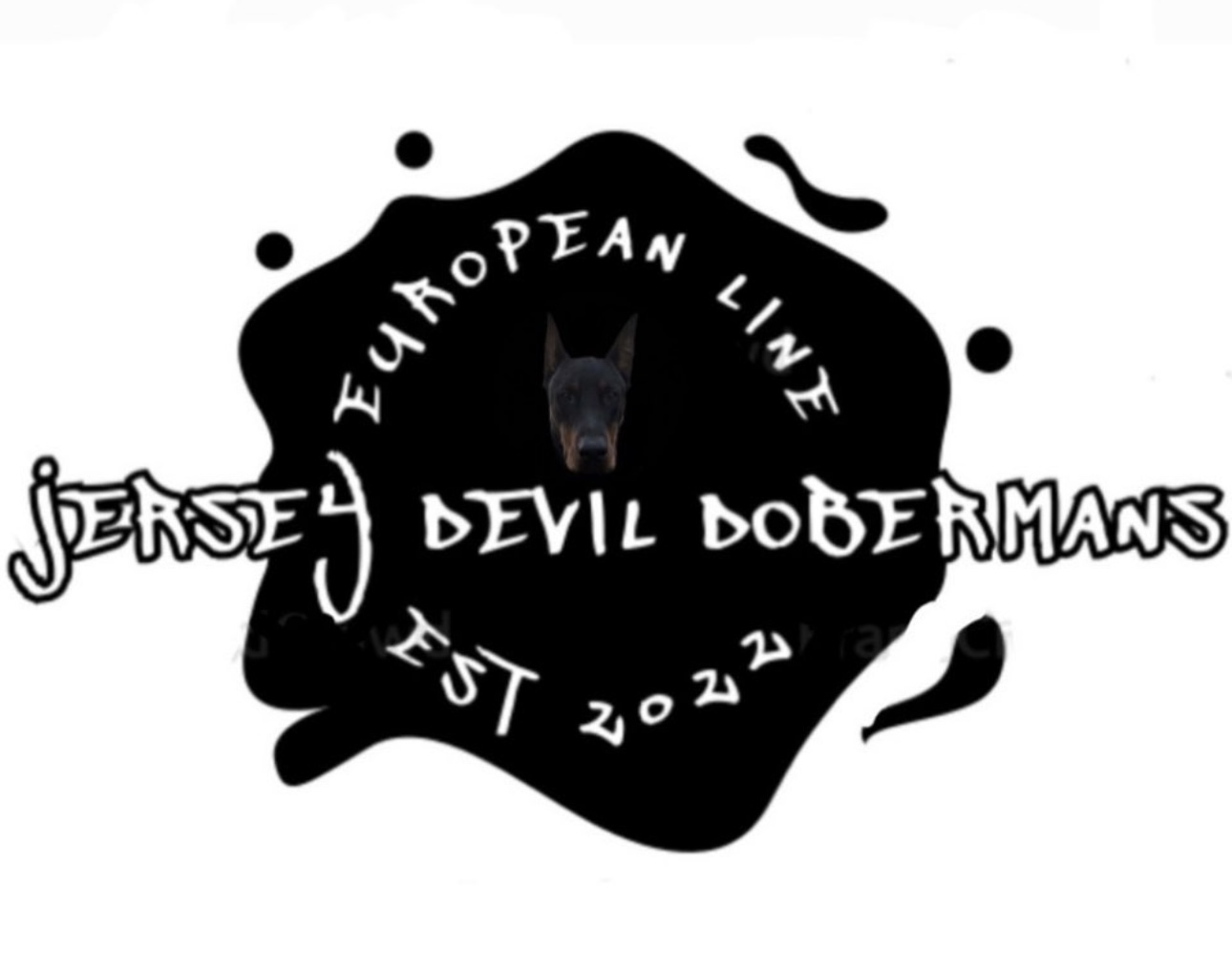 Jersey Devil Dobermans – European Working Line Doberman Breeder